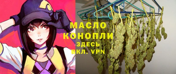 тгк Краснослободск