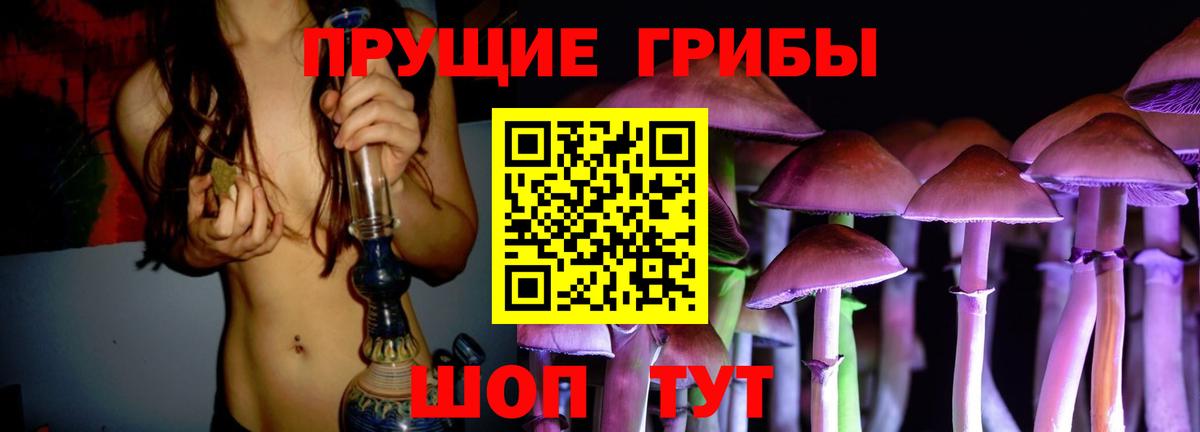 Галлюциногенные грибы GOLDEN TEACHER Курчалой